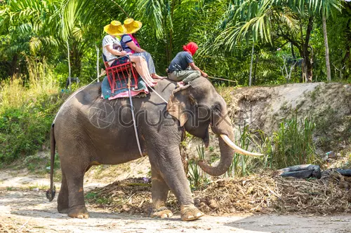 tourists riding elephant thailand 2160636