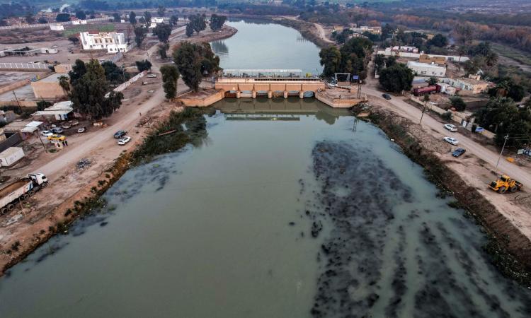 الفاو تحذر من أشد موجة حر في منطقة الأهوار العراقية منذ 40 عامًا