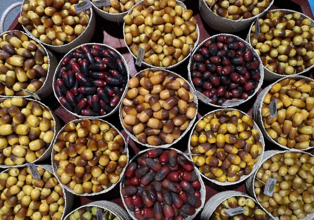 مهرجان ليوا للرطب