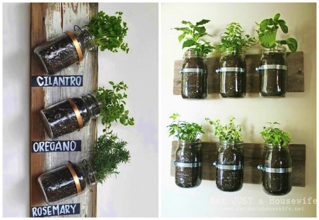 plantas en botellas y tarros 1