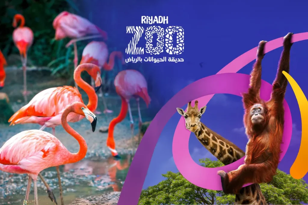 riyadh zoo season featured