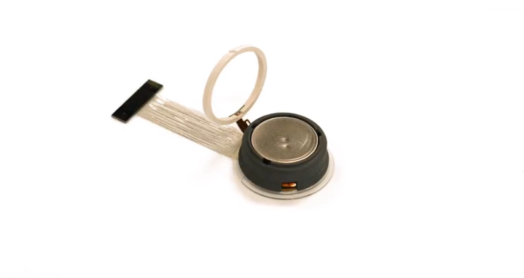 أول شريحة في دماغ البشر