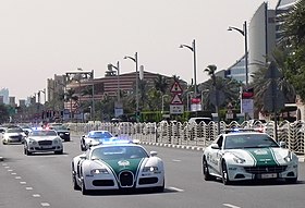 Dubai Police at work cropped