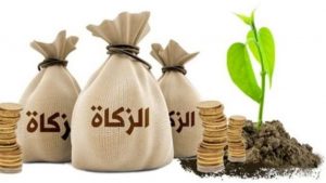 قيمة زكاة الفطر 2024 ومصارف إخراجها وموعدها 773x435 2