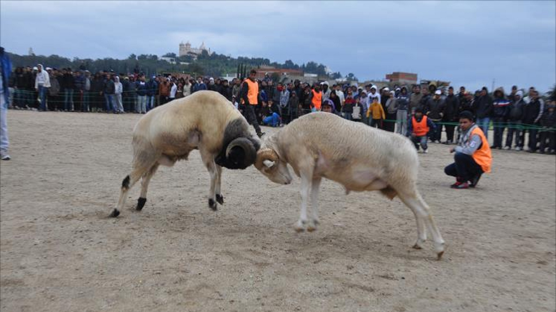 موعد عيد الأضحى في الجزائر