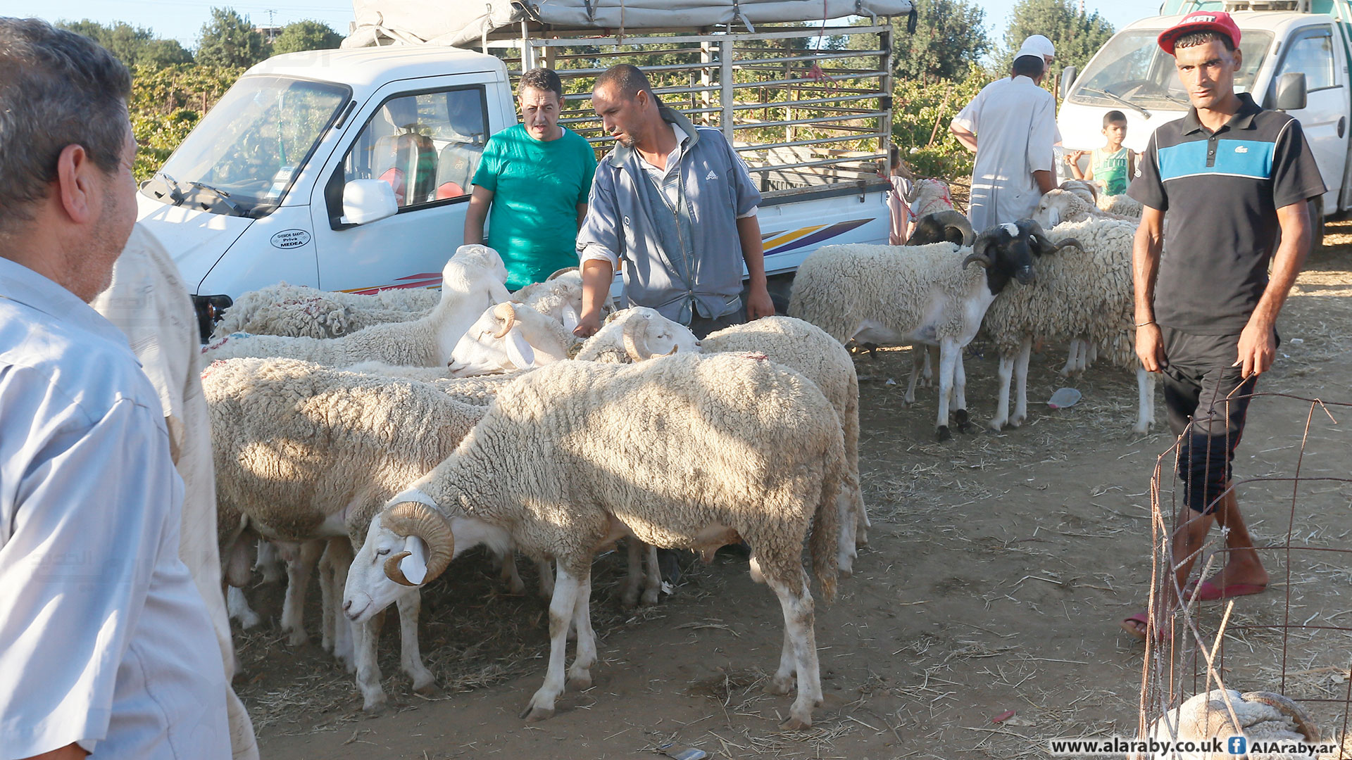 موعد عيد الأضحى في الجزائر