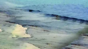 0A18080E 6DF0 4C65 BFB5 C02F3144612E