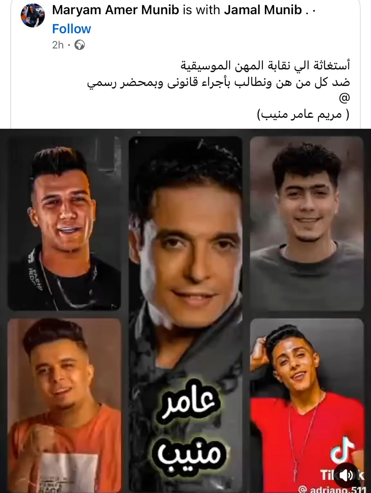 عامر منيب