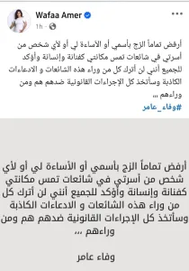 وفاء عامر تتهم في تجارة الأعضاء.. ما القصة ؟ وفاء عامر