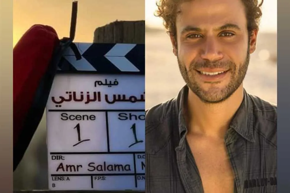 شمس الزناتي
