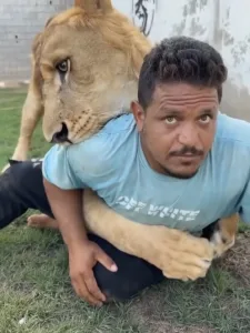 بعد تصدره التريند.. حبس صاحب الأسد في ليبيا بعد فيديو صادم.. تفاصيل الأسد