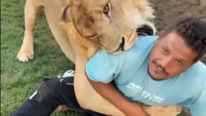 بعد تصدره التريند.. حبس صاحب الأسد في ليبيا بعد فيديو صادم.. تفاصيل الأسد