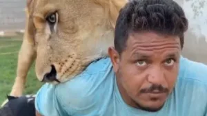 بعد تصدره التريند.. حبس صاحب الأسد في ليبيا بعد فيديو صادم.. تفاصيل الأسد