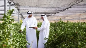 لحماية المستهلكين: إغلاق إداري لـ «ملحمة» في أبوظبي بسبب مخالفات جسيمة في السلامة الغذائية أبوظبي للزراعة
