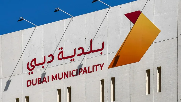 بلدية دبي