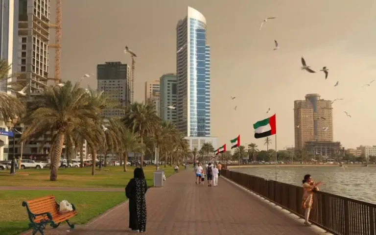 450 فرصة جديدة لأبناء الشارقة… توجيهات حاكم الإمارة تعزز مسيرة التوظيف وتمكين الكفاءات الوطنية إمارة الشارقة