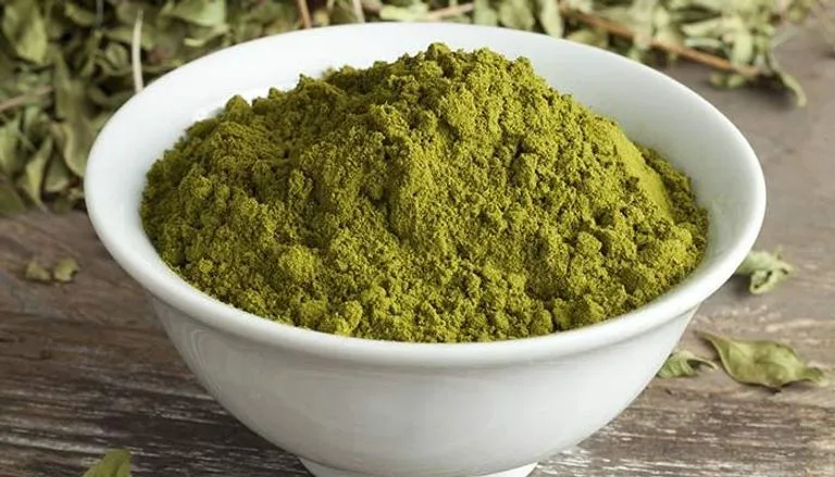 دراسة يابانية تكشف أسرار الحناء في علاج تليف الكبد الحناء