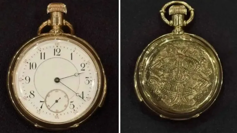 f1d6d0f2 d361 4d4a ae2b fd1db0cf1bbe