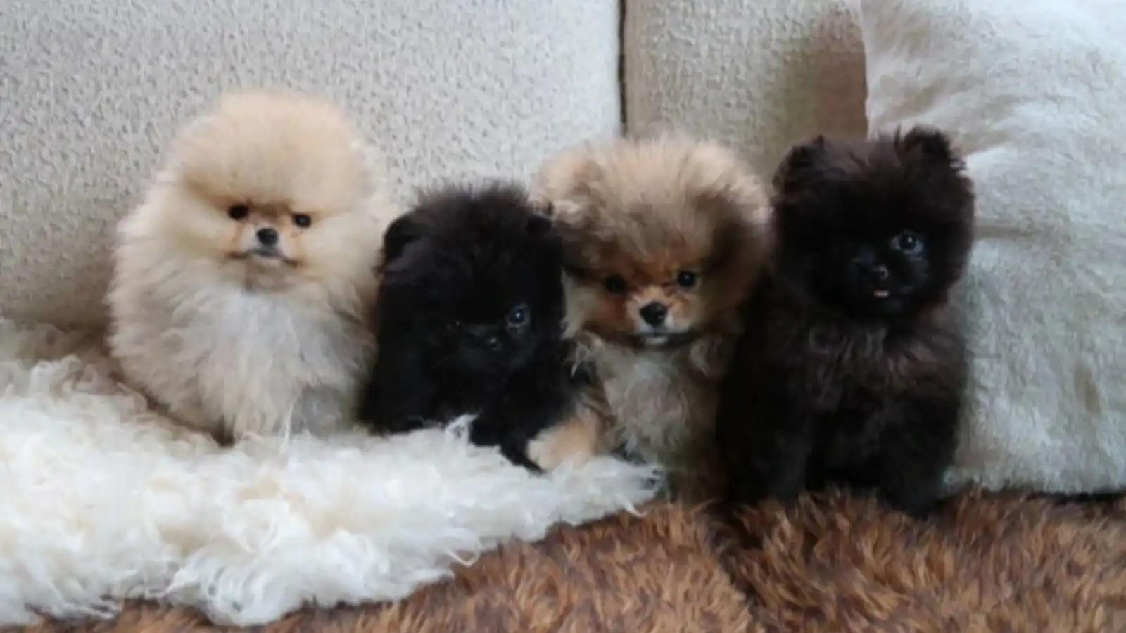 كيم كارداشيان تفاجئ أبناءها… عيد ميلاد مختلف بطابع عائلي كيم كارداشيان