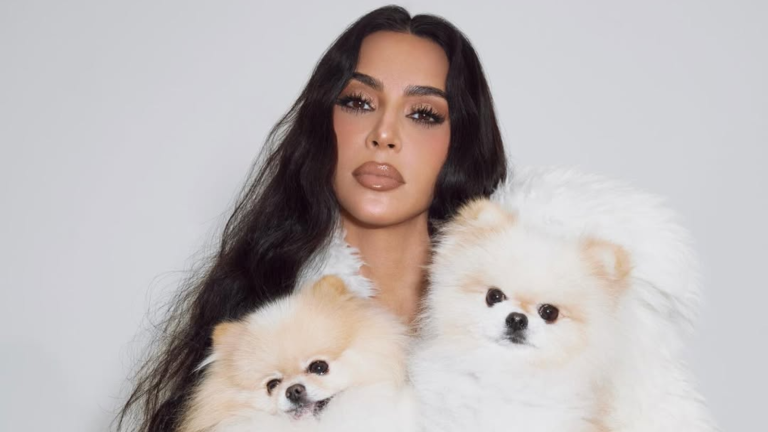 51972ce0 2ac8 4c54 a0ee 0335d8759475