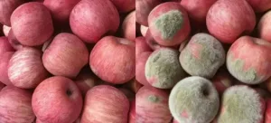 الذكاء الاصطناعي