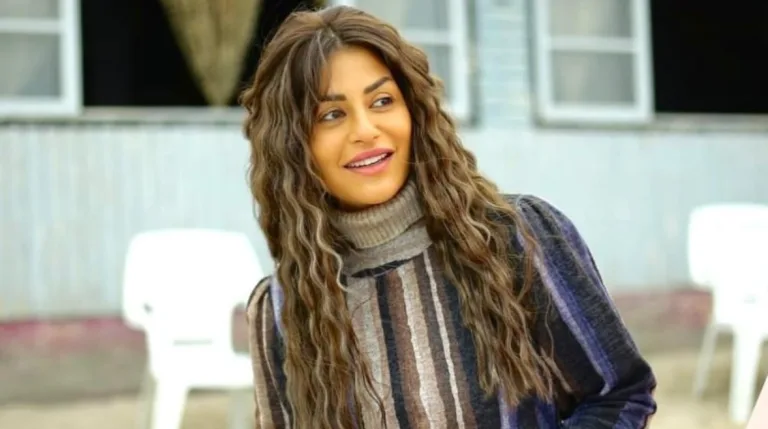 28111131445410202403300410341034