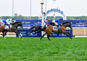 مهرجان دبي للسباقات