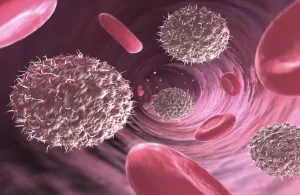 دراسة علمية تكشف: تجارب حياتك تعيد تشكيل جهازك المناعي على مستوى الخلايا المناعي