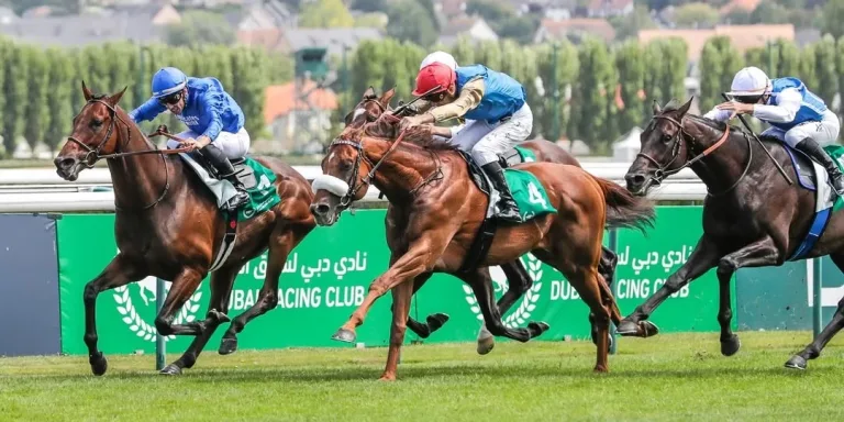 مهرجان دبي للسباقات