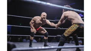 بطولة WrestleFest DXB 