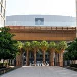 تشات ساين بالذكاء الاصطناعي ينطلق من جامعة نيويورك أبوظبي لثورة ترجمة لغة الإشارة لعام 2026