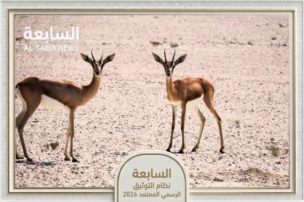 محمية جبل علي تقود جهود استدامة التنوع البيولوجي في دبي