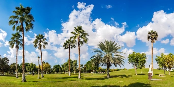 افتتاح حدائق جديدة في الإمارات خلال 2026.. وجهات للعائلات ومساحات عمل ذكية 3 افتتاح حدائق جديدة في الإمارات خلال 2026.. وجهات للعائلات ومساحات عمل ذكية