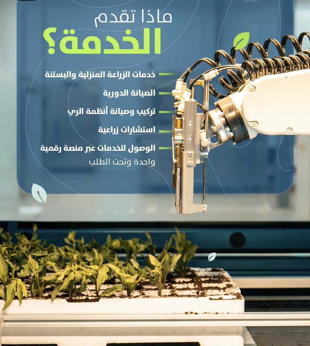 مزارع الفريج.. مبادرة رقمية جديدة لتنظيم خدمات الزراعة المنزلية بدبي 3 مزارع الفريج.. مبادرة رقمية جديدة لتنظيم خدمات الزراعة المنزلية بدبي