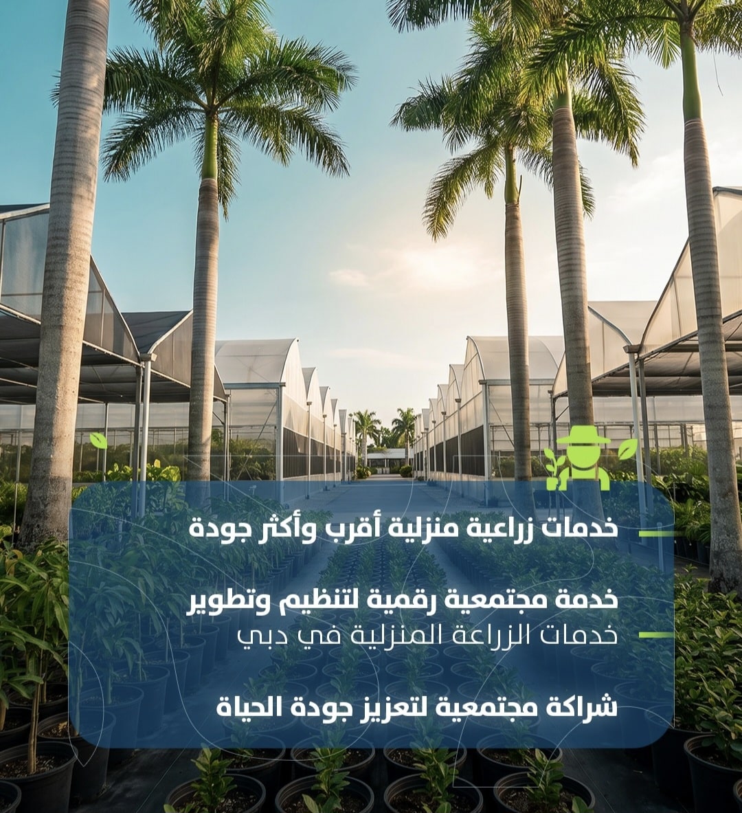 مزارع الفريج.. مبادرة رقمية جديدة لتنظيم خدمات الزراعة المنزلية بدبي 5 مزارع الفريج.. مبادرة رقمية جديدة لتنظيم خدمات الزراعة المنزلية بدبي